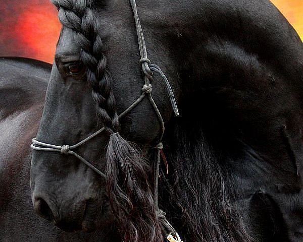 Ирина Голубева