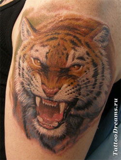 Алексей Тимашков