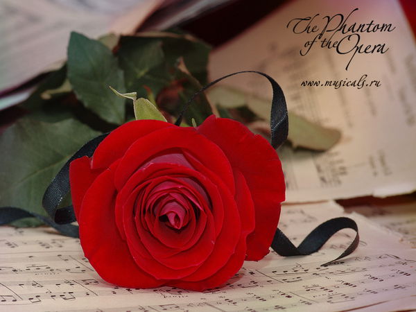 Виктория Лебедева