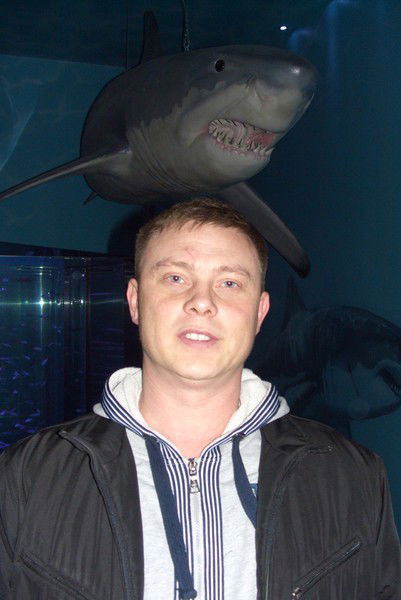 Неизвестно Неизвестно