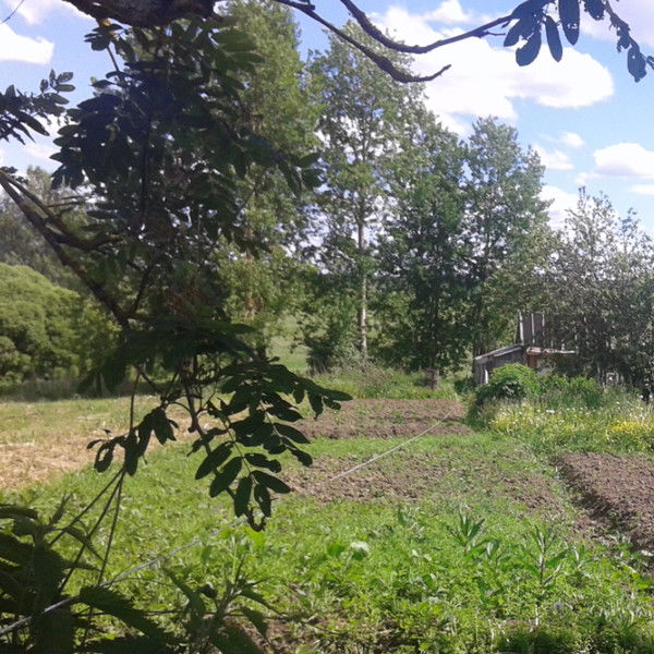 Алёна Липей