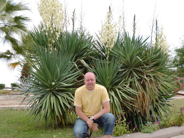 Роберт Цирке