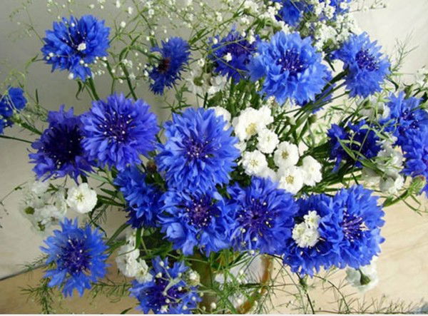 Нина Якушенко