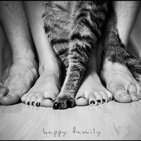 Алёна Шевченко