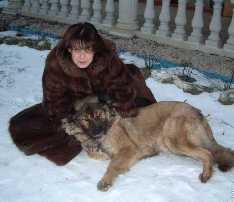 Елена Безуглова