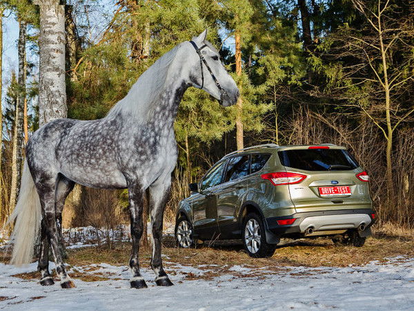 Марат Садвакасов