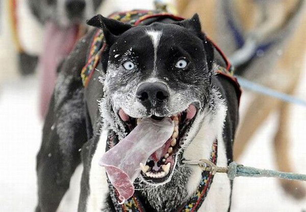 Имя Фамилия