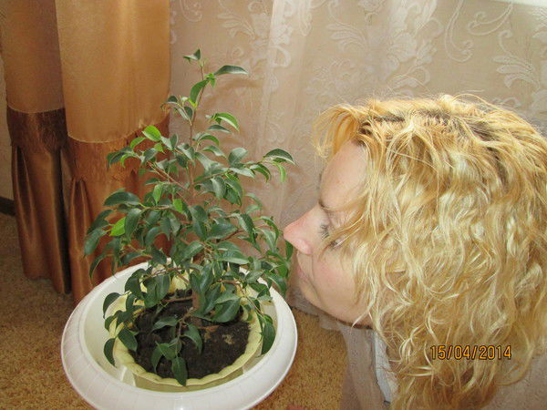 Алеся Полоникова(Гиль)