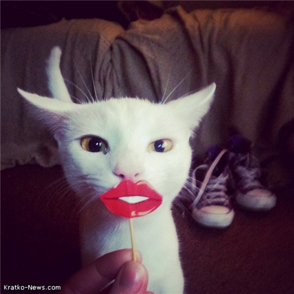 Гусак Ульяна