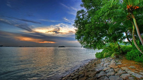 Василий Мошкин