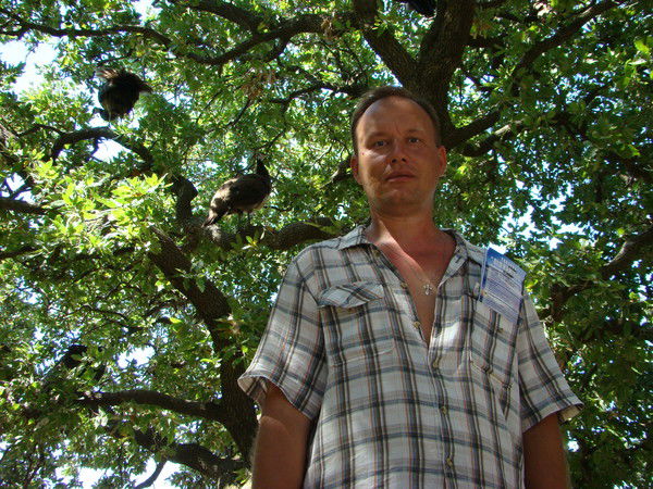 Ткаченко Василий