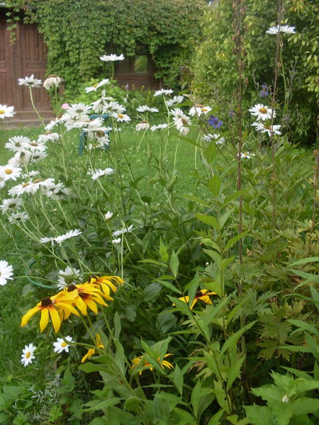 Зоя Егоровна Кузнецова