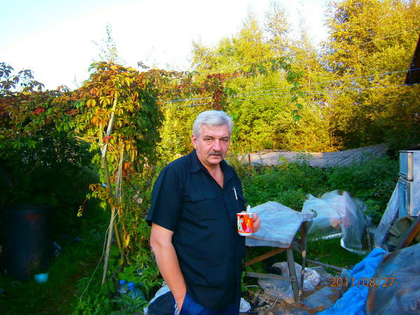 Алексей Андреев