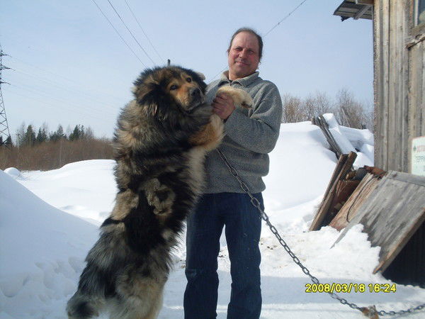 Огнян Игнатов