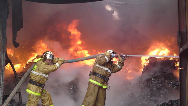 Школа Проф. Подготовки