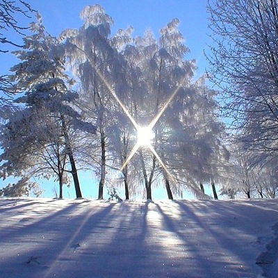 Евгений Самойлов