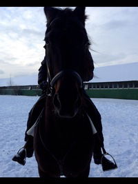 Виктория Хапугина