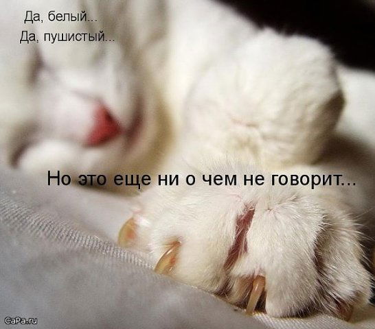 Петр Управленцев