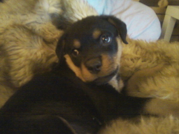 Сергей Сакун