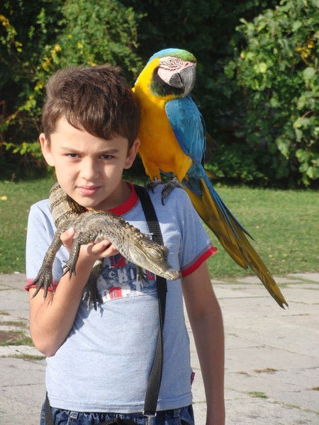 Алексей Черкасов