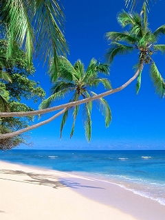 Юрий Димитриев