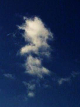 Александр Караедов