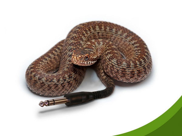 Анна Кондратьева