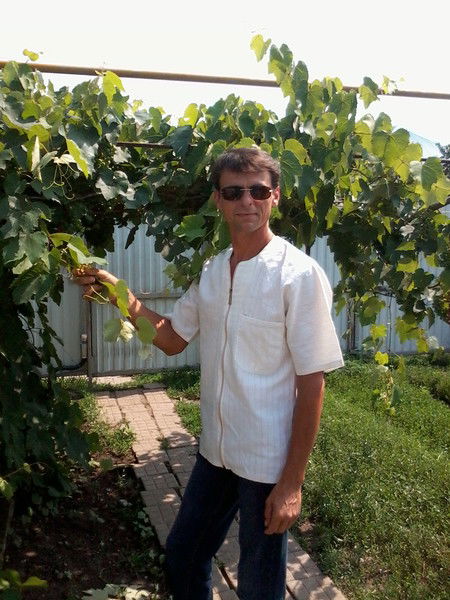 Николай Мусиенко