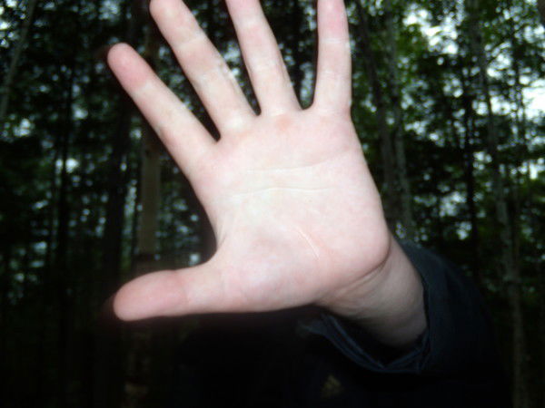 Яков Кулигин