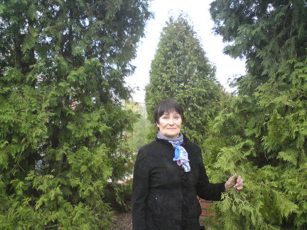 Зинаида Голушко