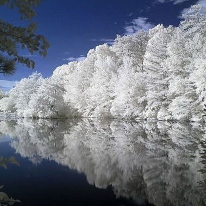 Тимофей Каскевич