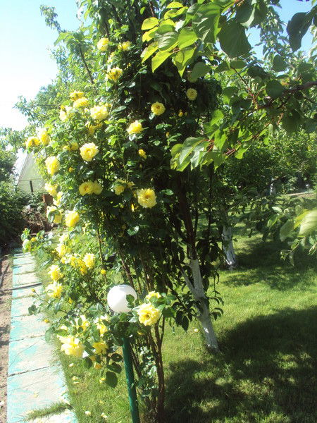 Николай Бондаренко