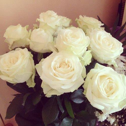 Настенька Романова