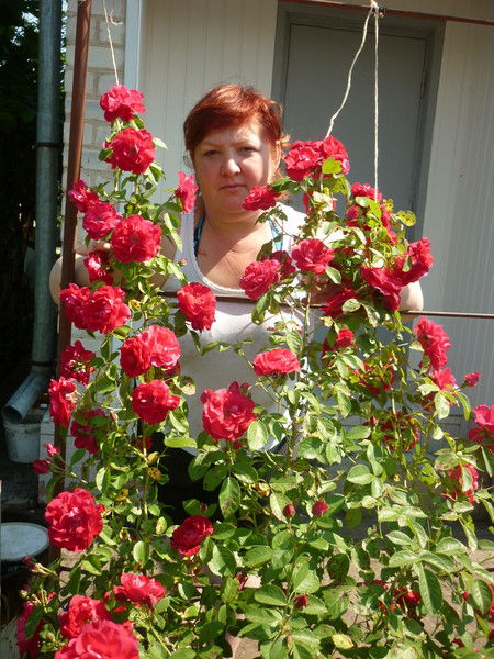 Светлана Красюкова