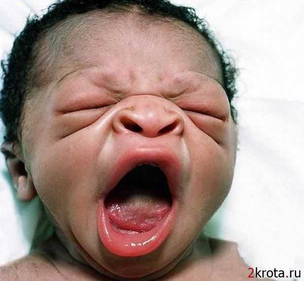 Игорь Яковенко