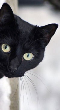 Карина Ерофеева