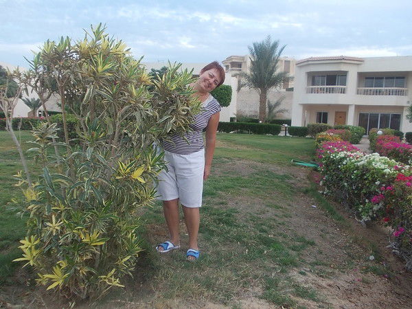 Алла Корнева