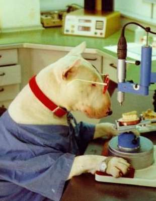 Александра Иванова