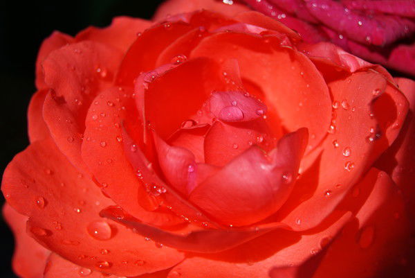 Валя Трубникова