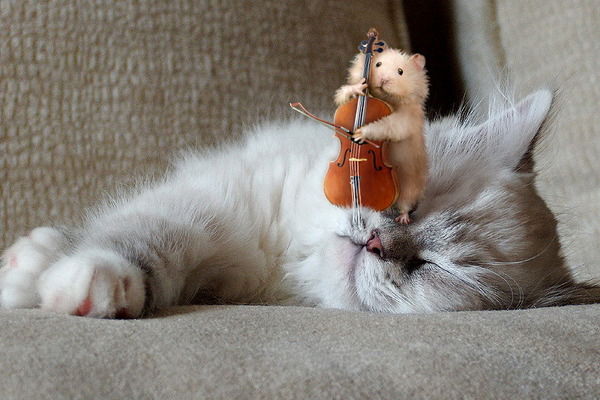 Мишка В Космосе