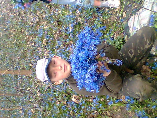 Дмитрий Коровин