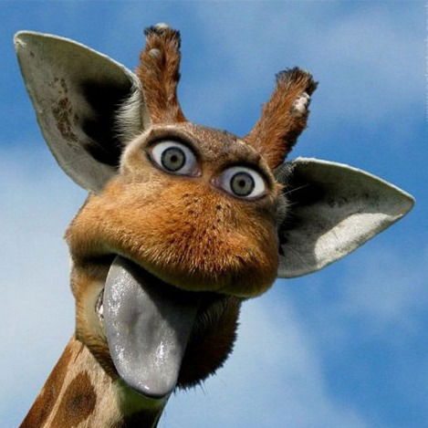 Андрей Лукин