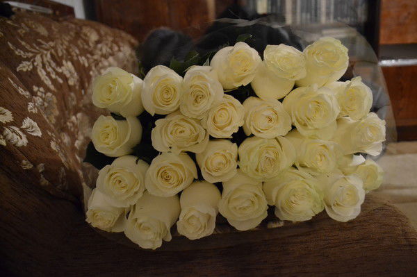 Олеся Резниченко