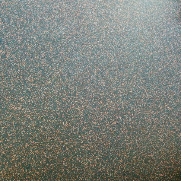 Леонтий Попов