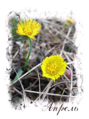 Зарина Султанбекова