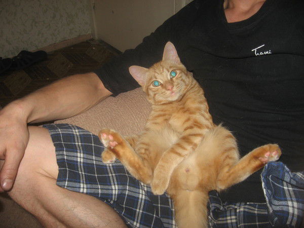 Алексей *******