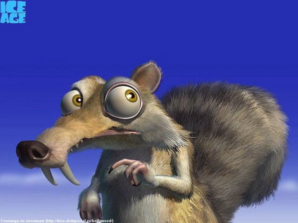 Алексей Салихов