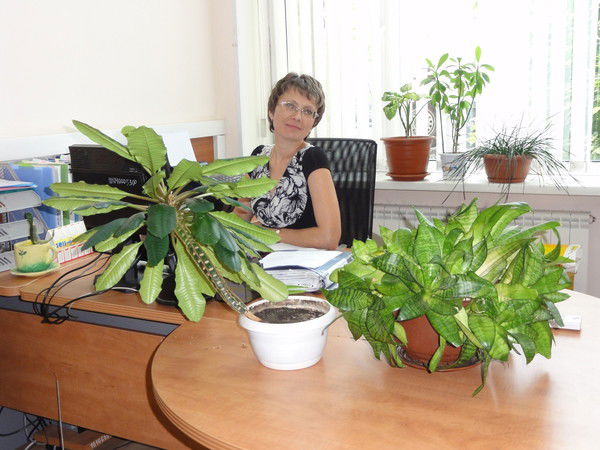 Елена Фурсова