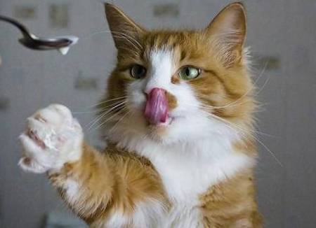 Алексей Павлюк