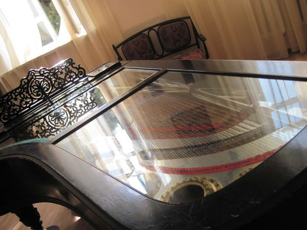 Михаил Добин